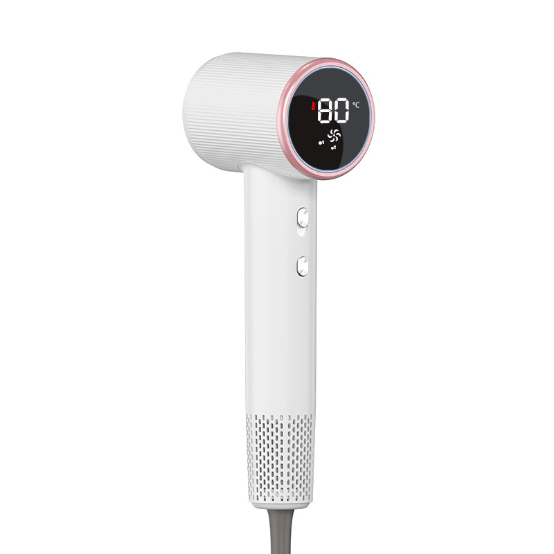 Aurale IonPro Dryer